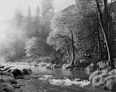 Misty Morning Indian Creek, Northern Sierra Nevada, California, 1983.