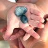 Image of child's sandy hand with seashells