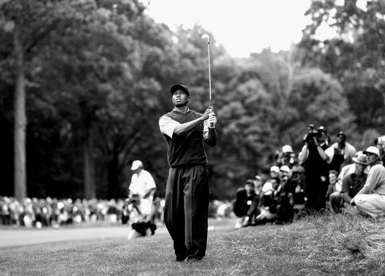 1US.Tiger_2rough.web