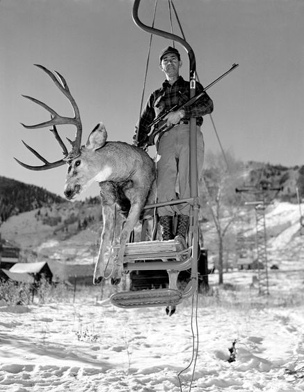 The Durrance Collection Magnifico bringing home the bacon.