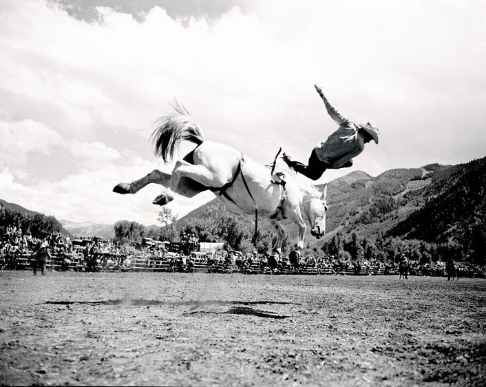 The Durrance Collection Rodeo Bronc