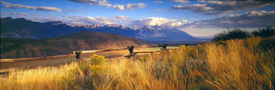 ©Susan G. Drinker 2007 Spirit Dance Meadow, Grand Teton NP