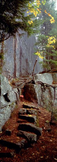 ©Susan G. Drinker 2007 Stone Steps, Acadia NP