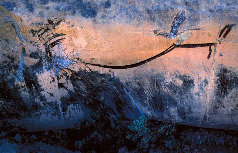 Back hoe scrapes on an irrigation pipe render great art! Carbondale, CO Bird on a Wire