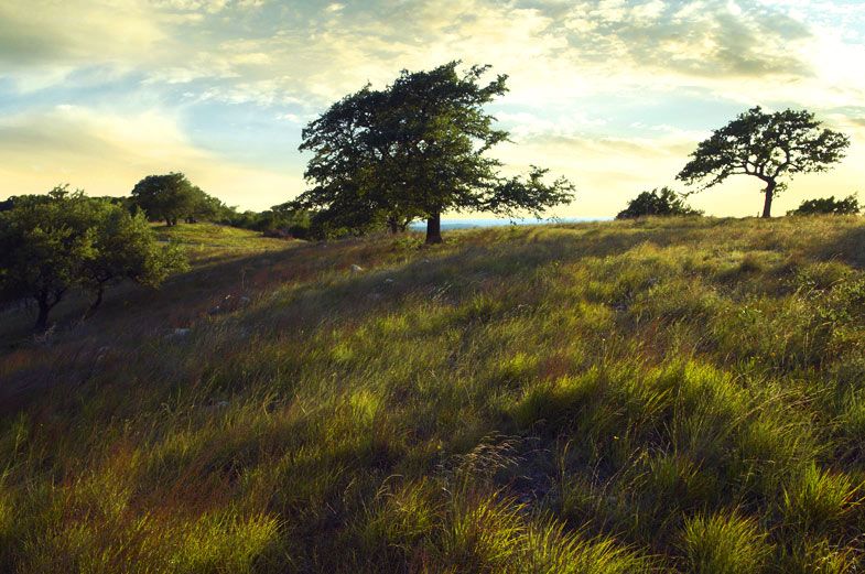 Rancho San Miguel, TX