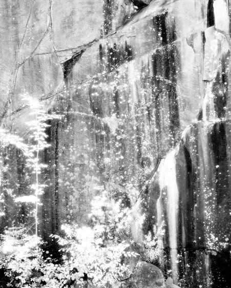 Infra Red capture of lichen and moss on quarry wall, near Rockport, ME White Light