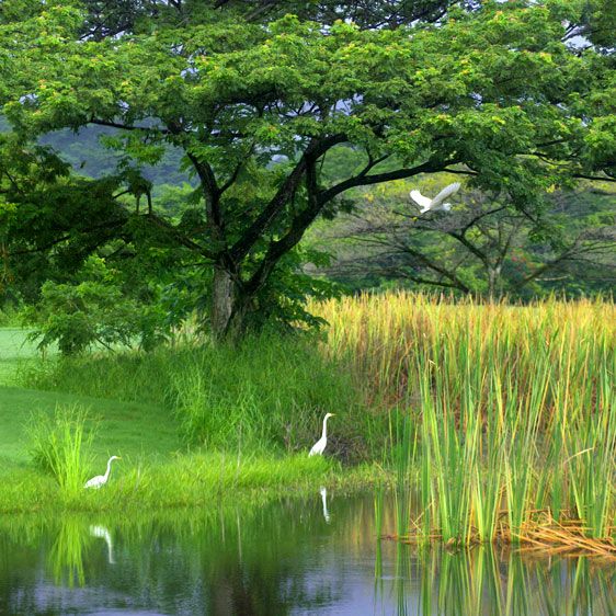 Conchal Resort, Costa Rica