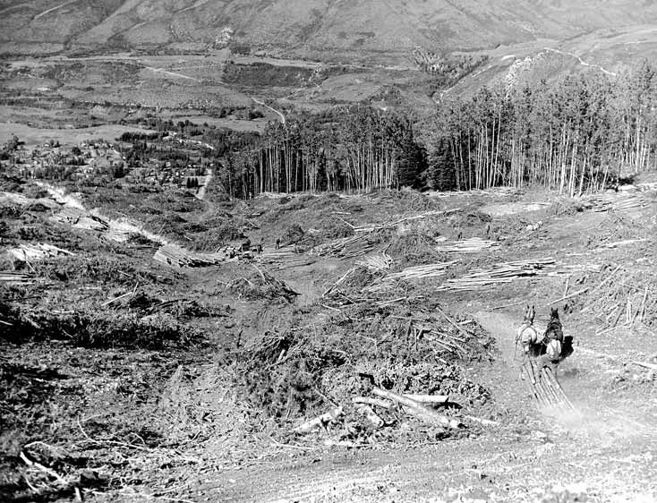 The Durrance Collection Logging Ruthie's Run