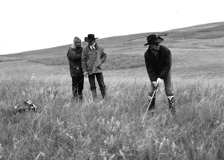 1PelicanShootout2.web