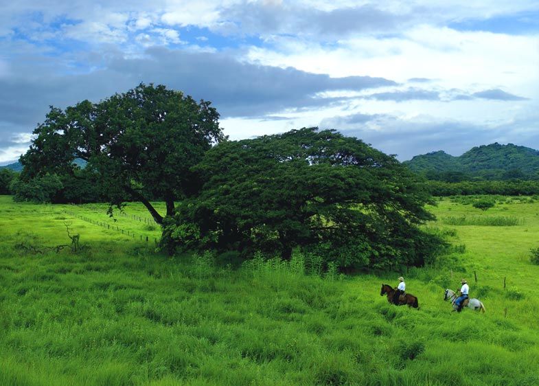 Reserva Conchal, Costa Rica