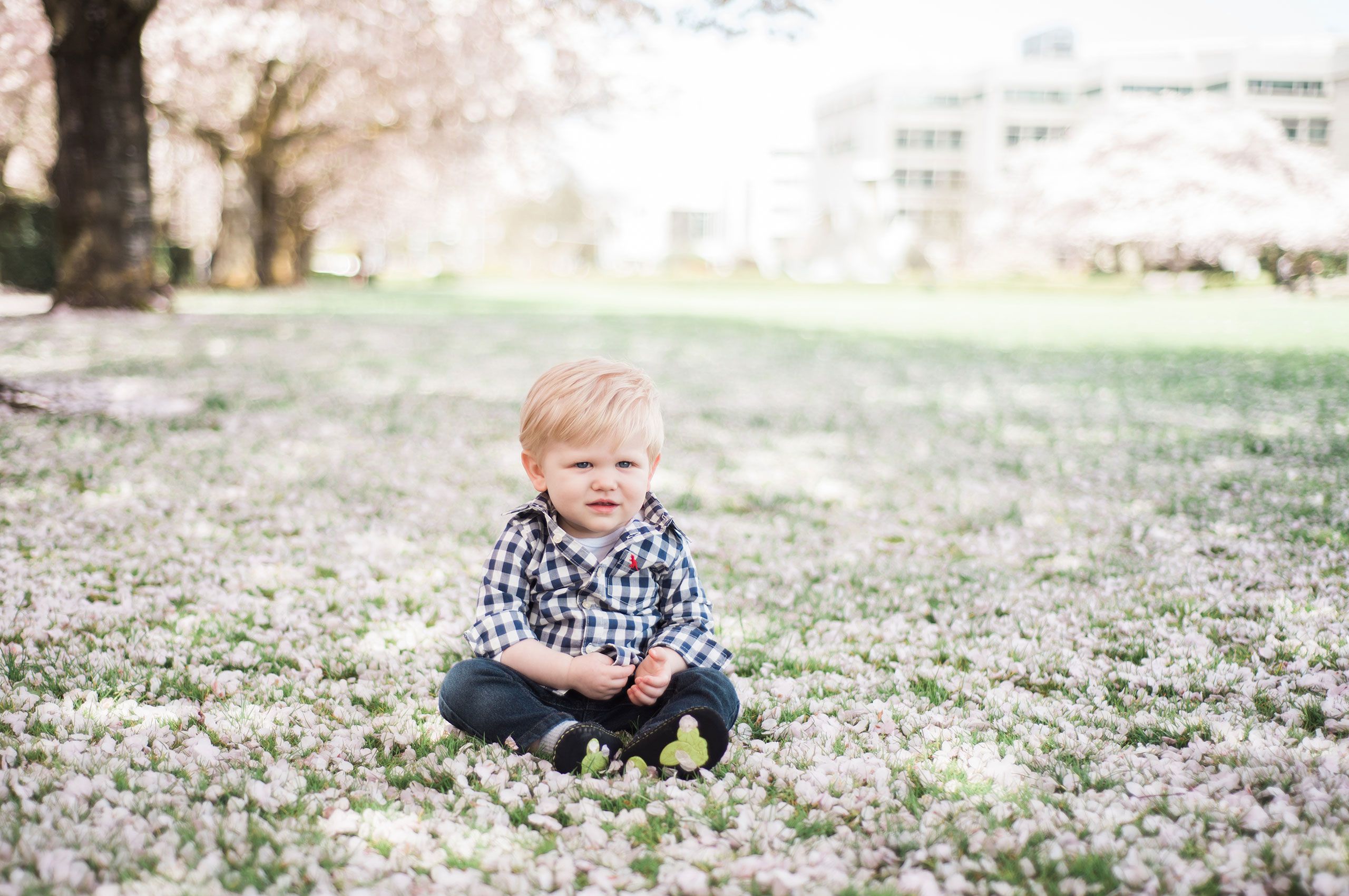 Cherry blossom photo shoot in Salem, Ore. CherryBlossoms2.jpg