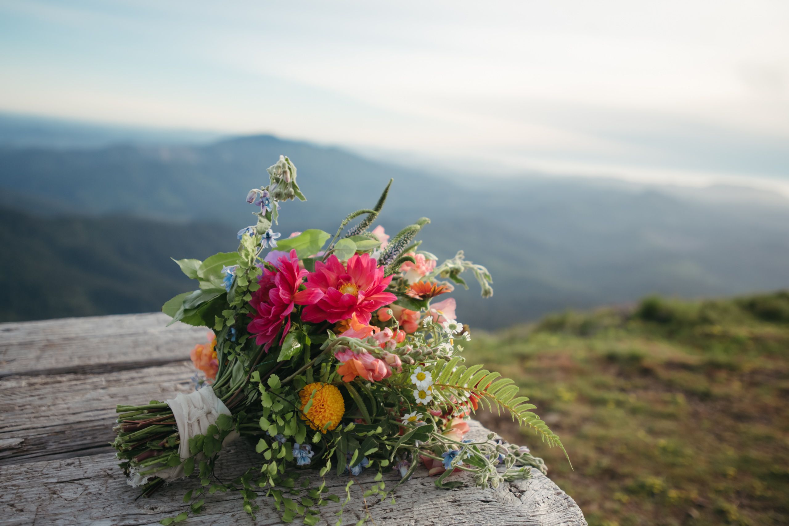 Marys Peak wedding details