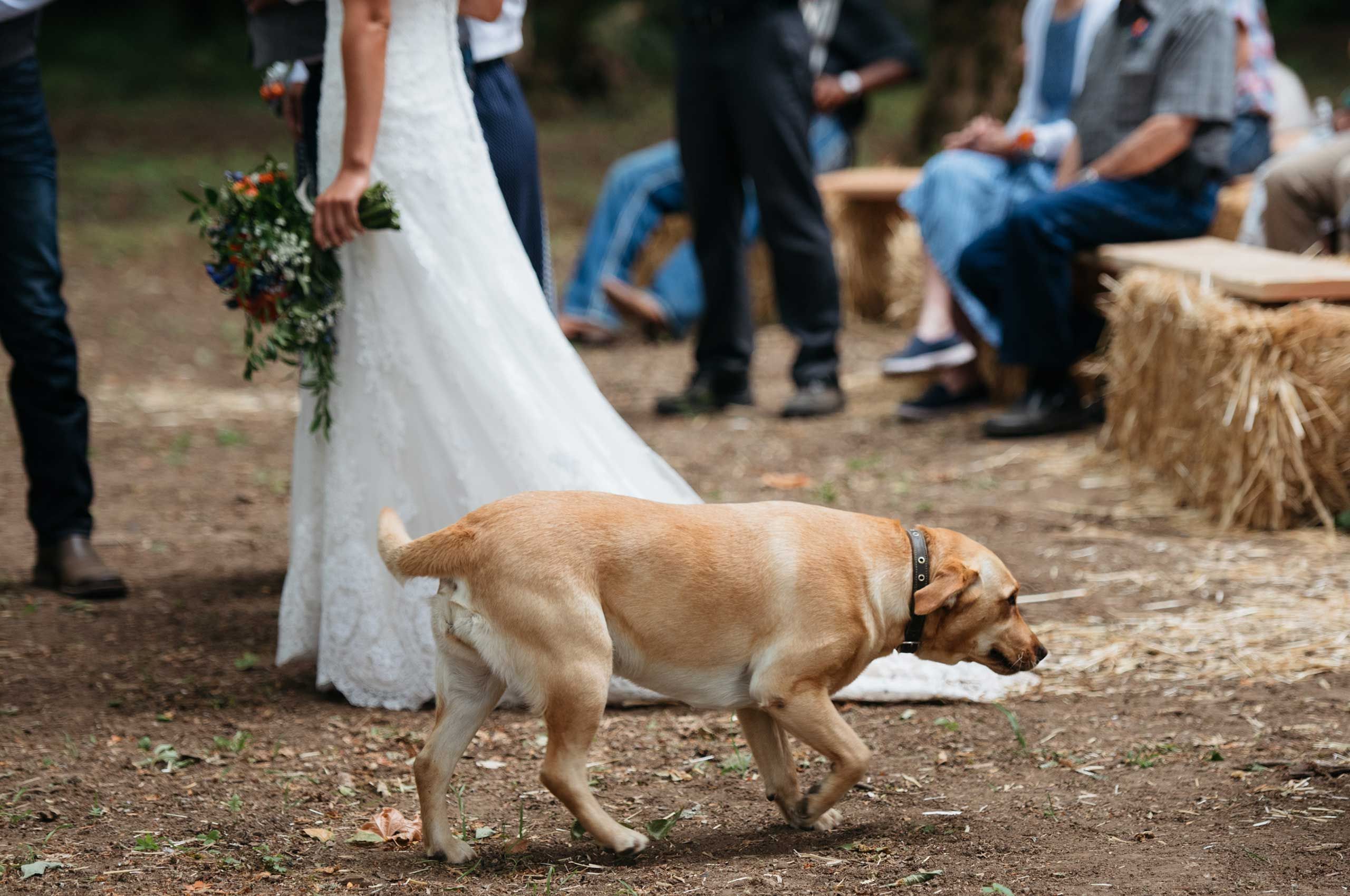 Oregon wedding