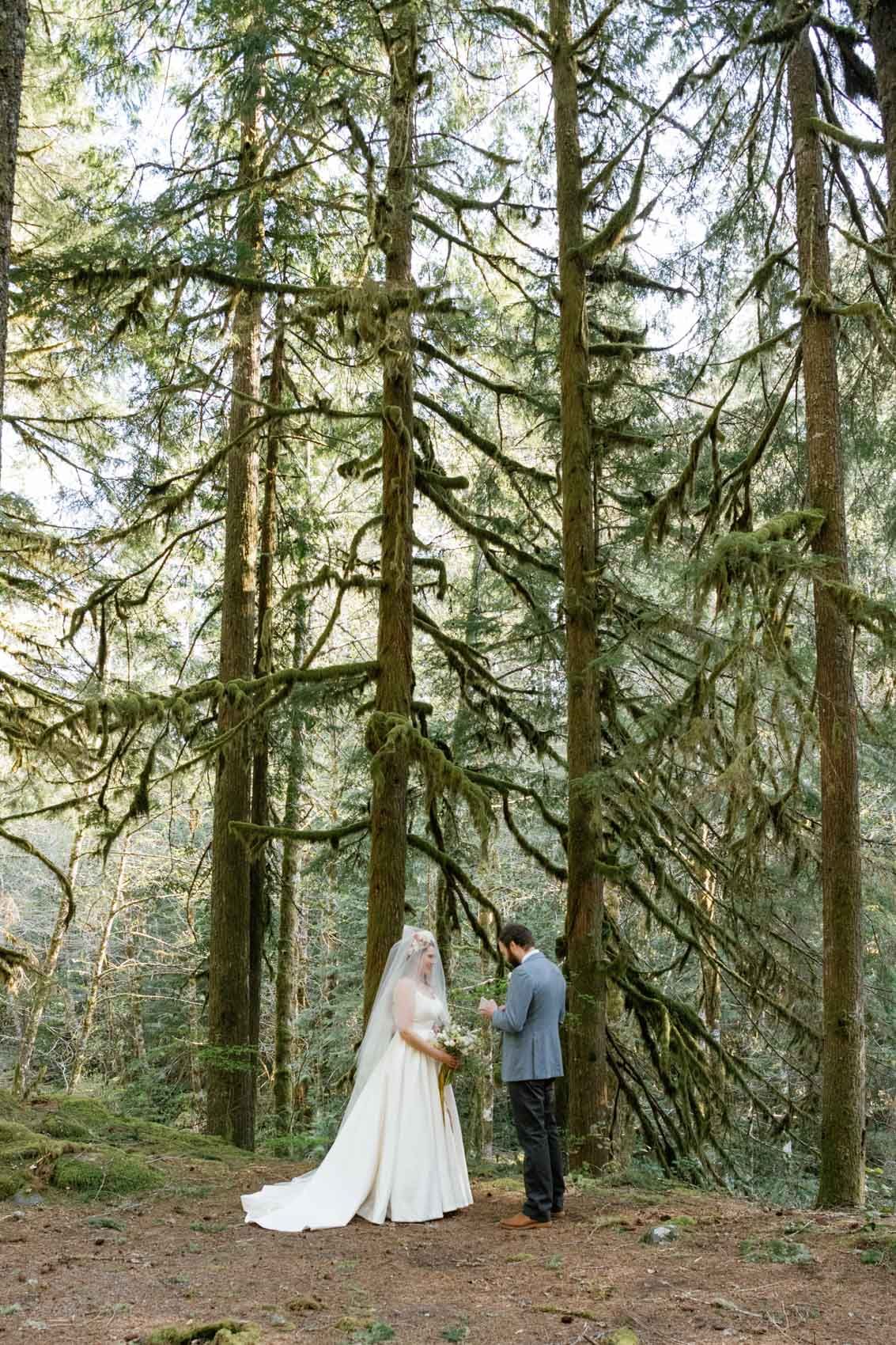 Mt. Hood forest elopement