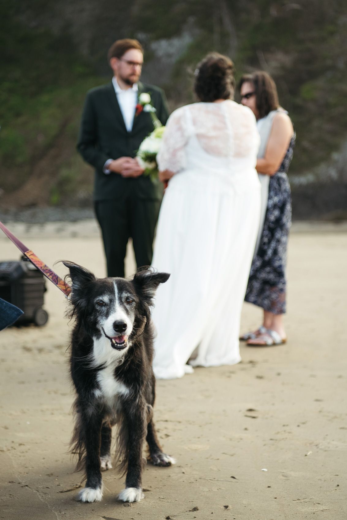 Oregon-Coast-Elopement-179.jpg