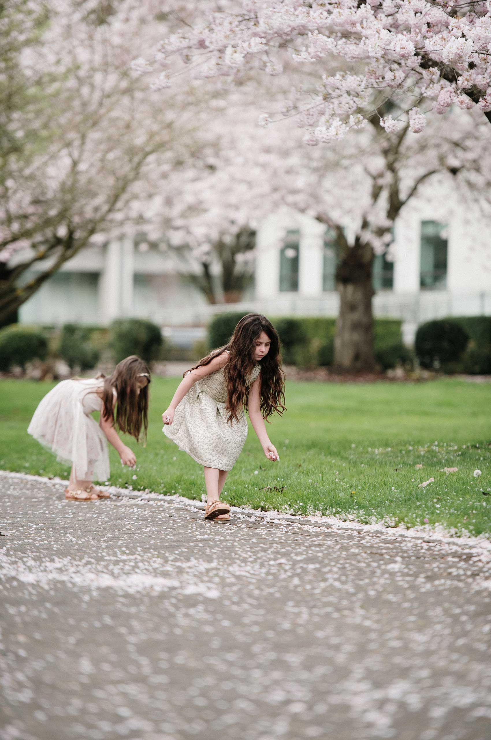 Cherry blossom portraits