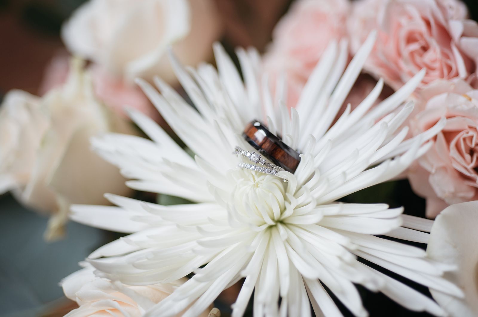 blogwedding-36915.jpg
