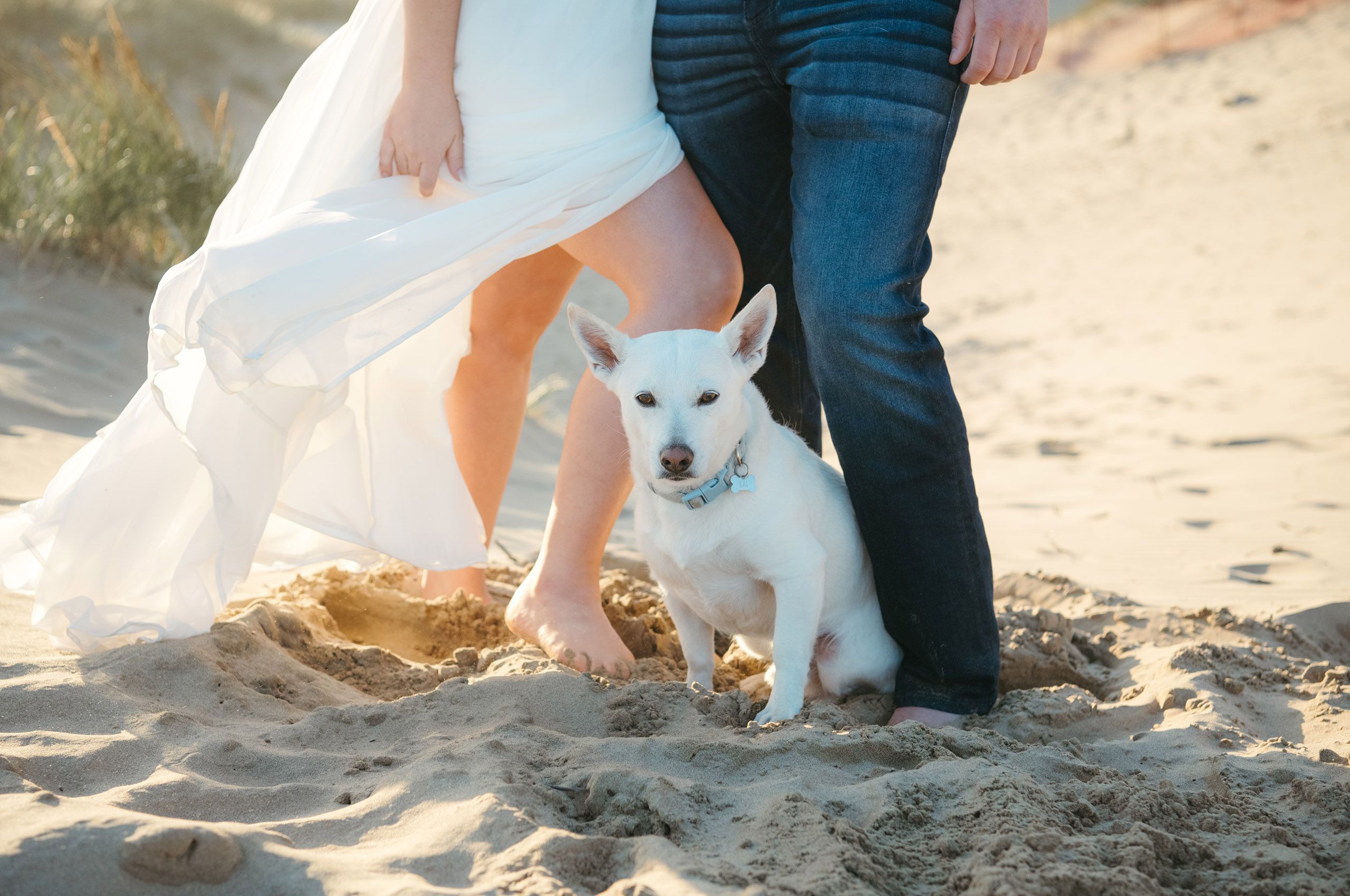 Cape Kiwanda engagement photos