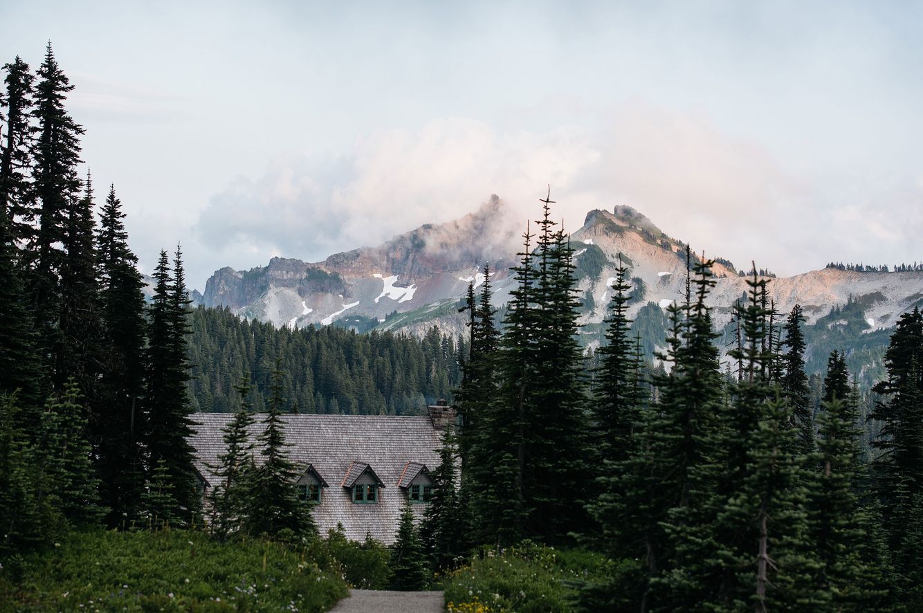 Mt. Rainier National Park