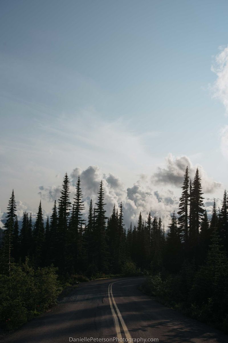 Rainier-3.jpg