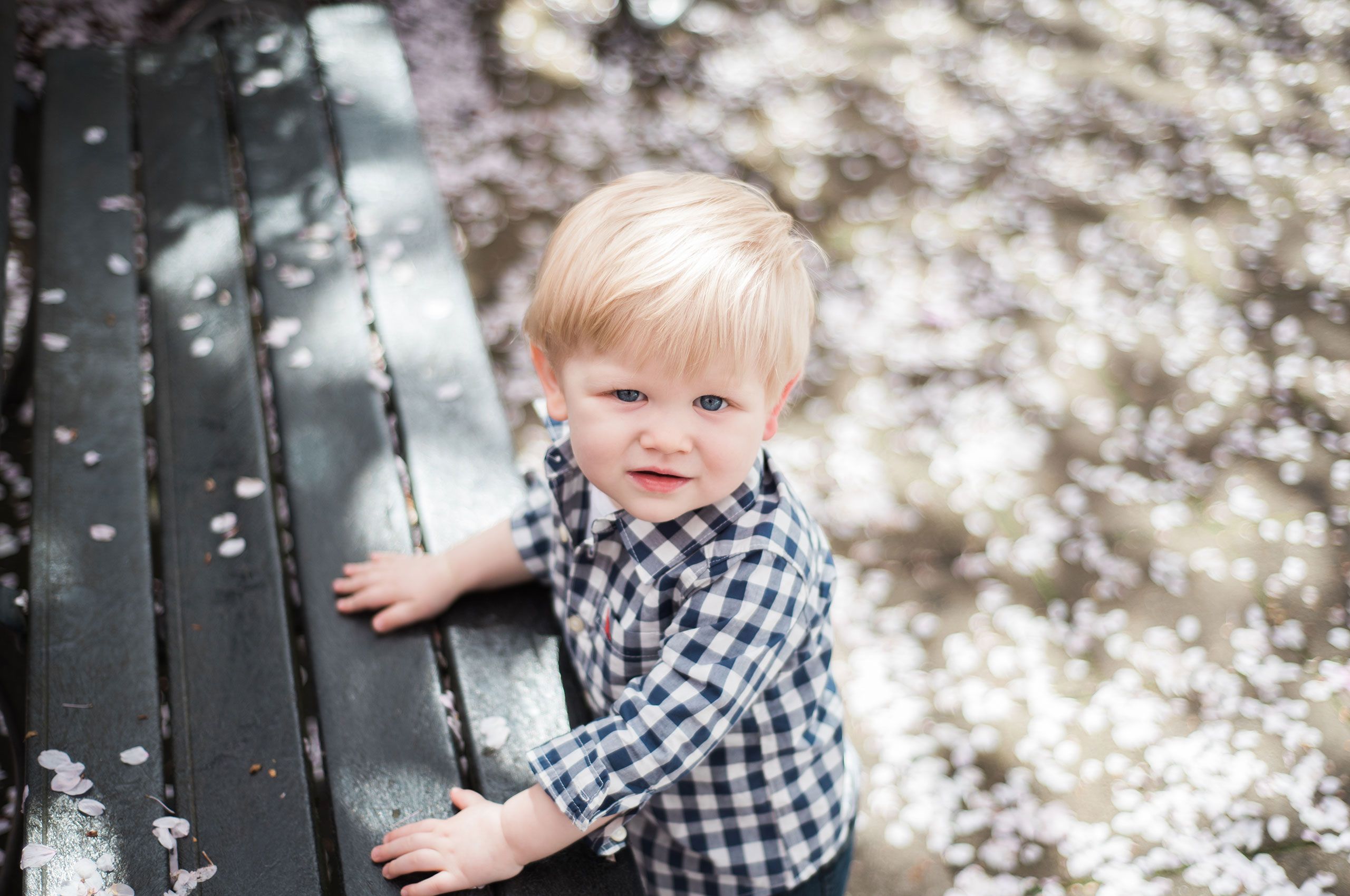 Cherry blossom photo shoot in Salem, Ore. CherryBlossoms9.jpg