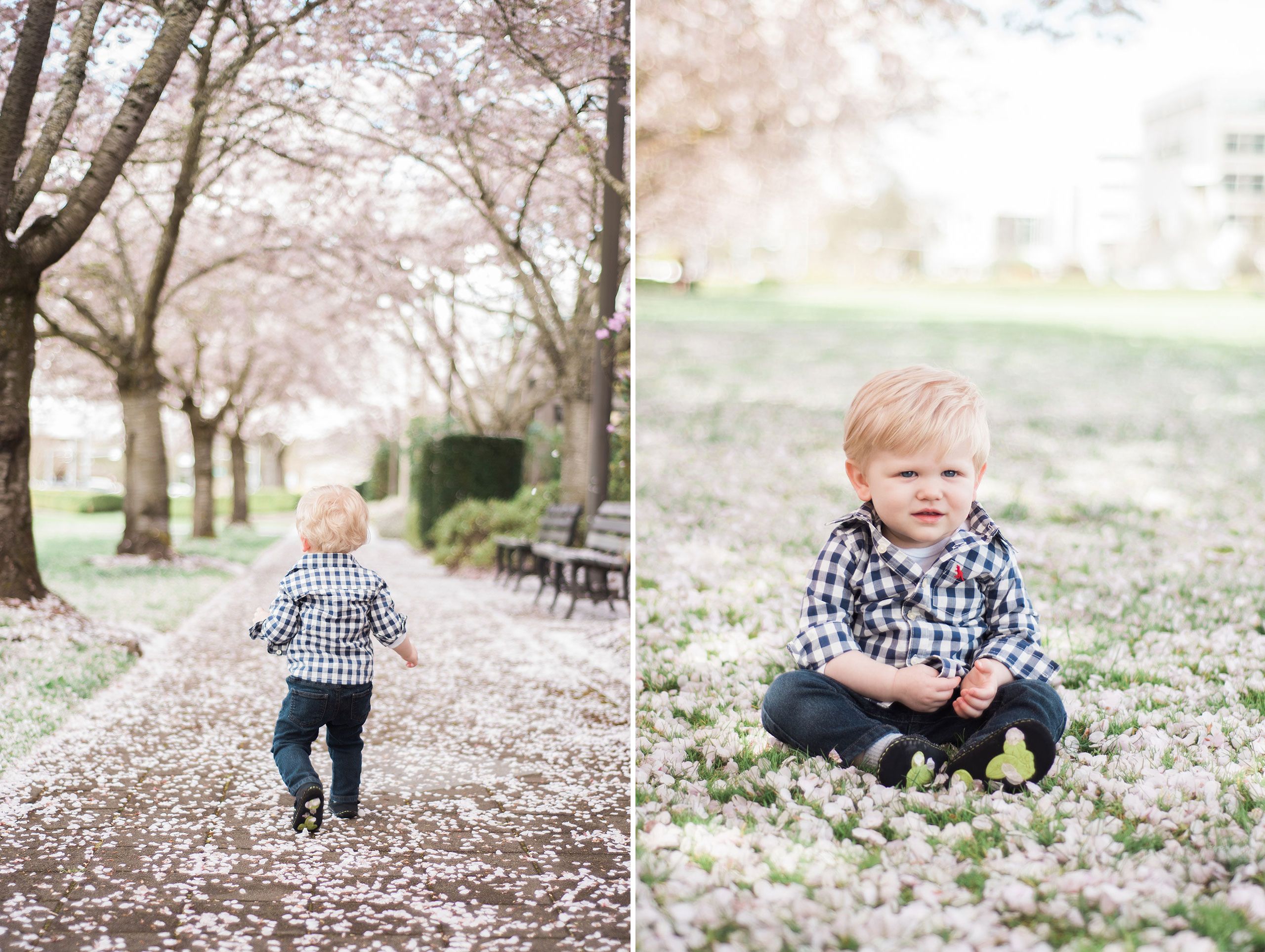 Cherry blossom photo shoot in Salem, Ore. CherryBlossoms4.jpg