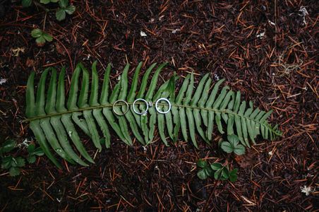 waterfall-elopement21.jpg