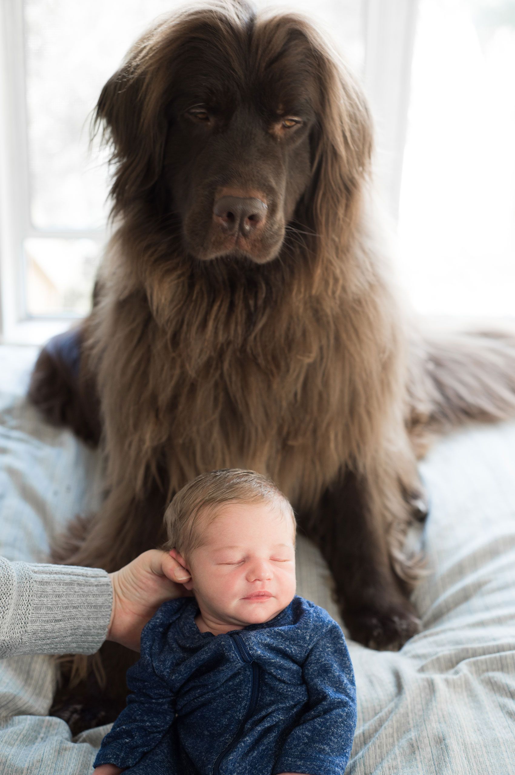 In-home newborn photography