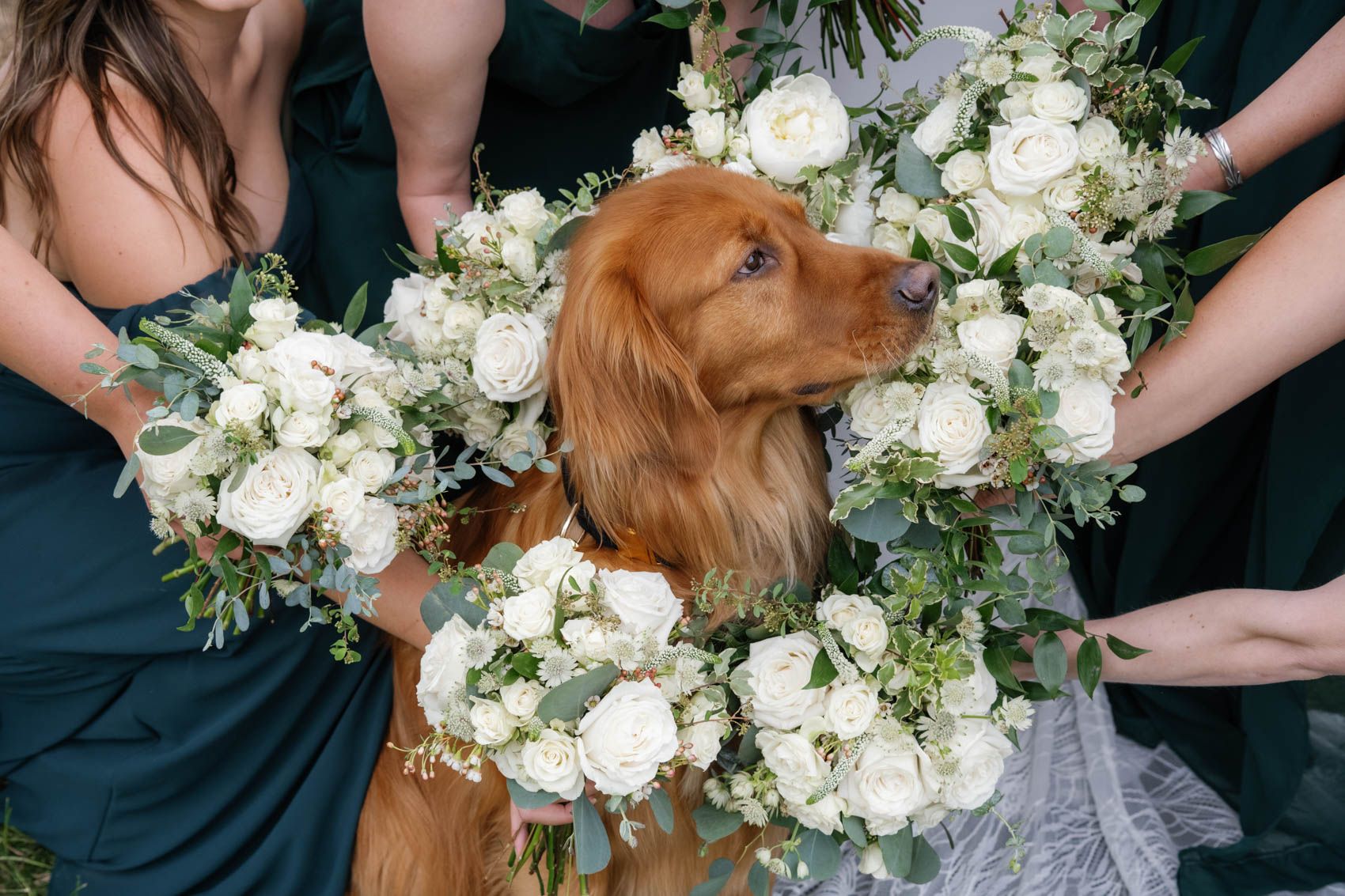 Coleman-Guest-Ranch-Wedding-399152.jpg