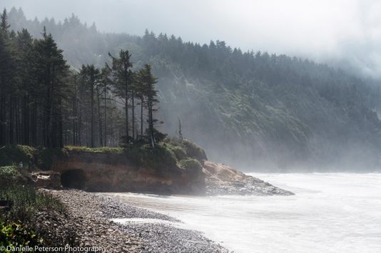 OregonCoast-12126.jpg