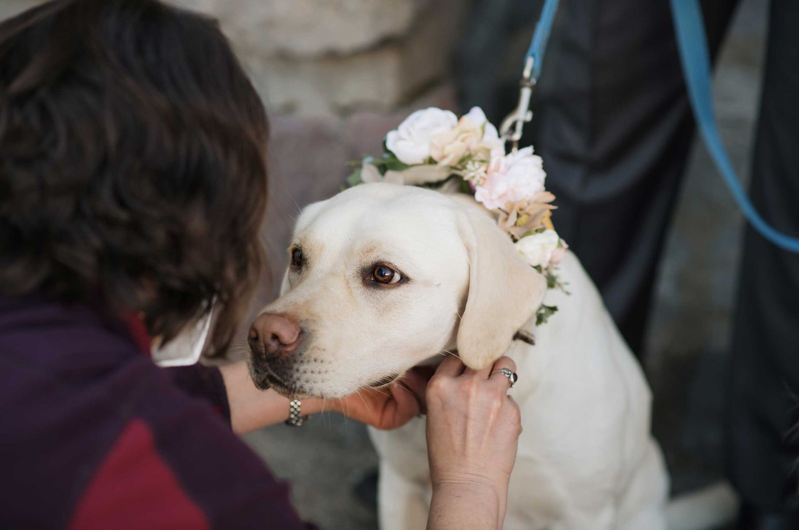 Timberline-wedding23.jpg
