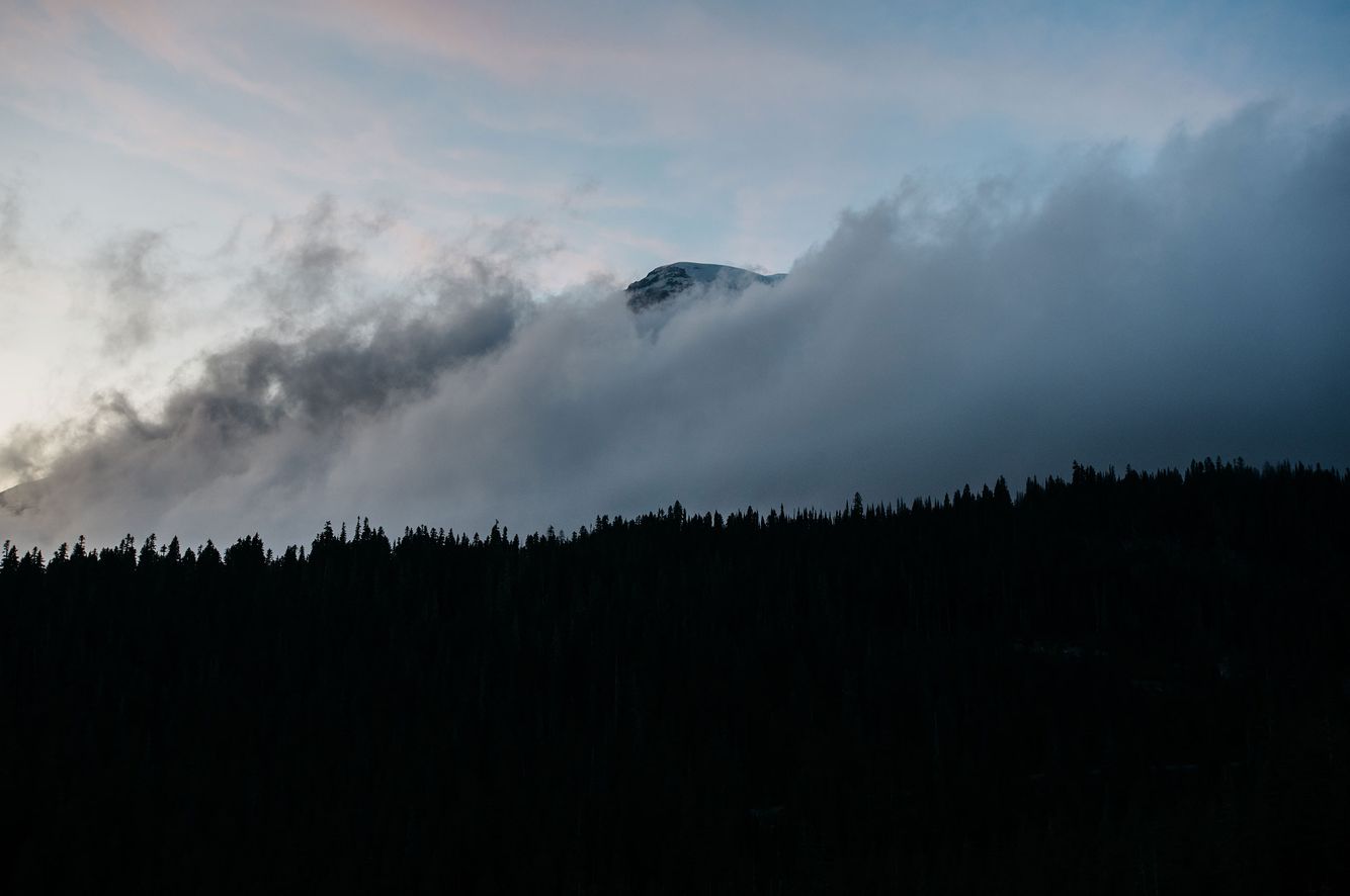 Mt. Rainier National Park