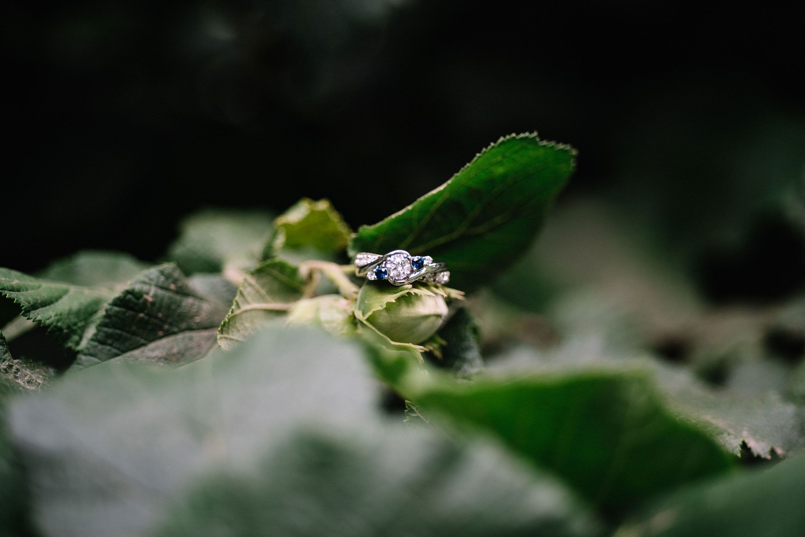 Oregon wedding