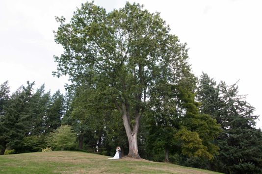 Wedding15536-1-2.jpg