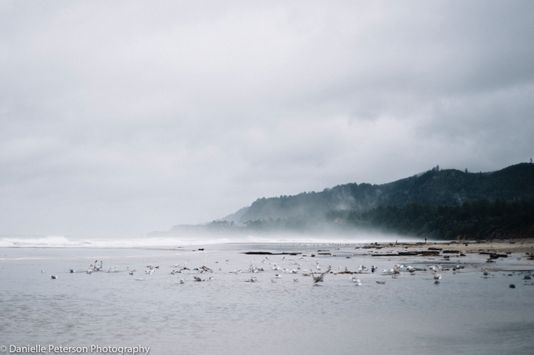 OregonCoast-.jpg