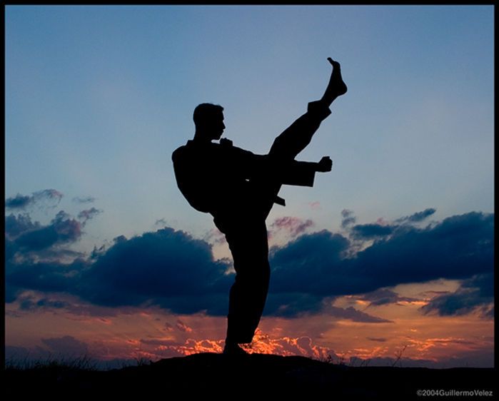 Â©2009GuillermoVelez