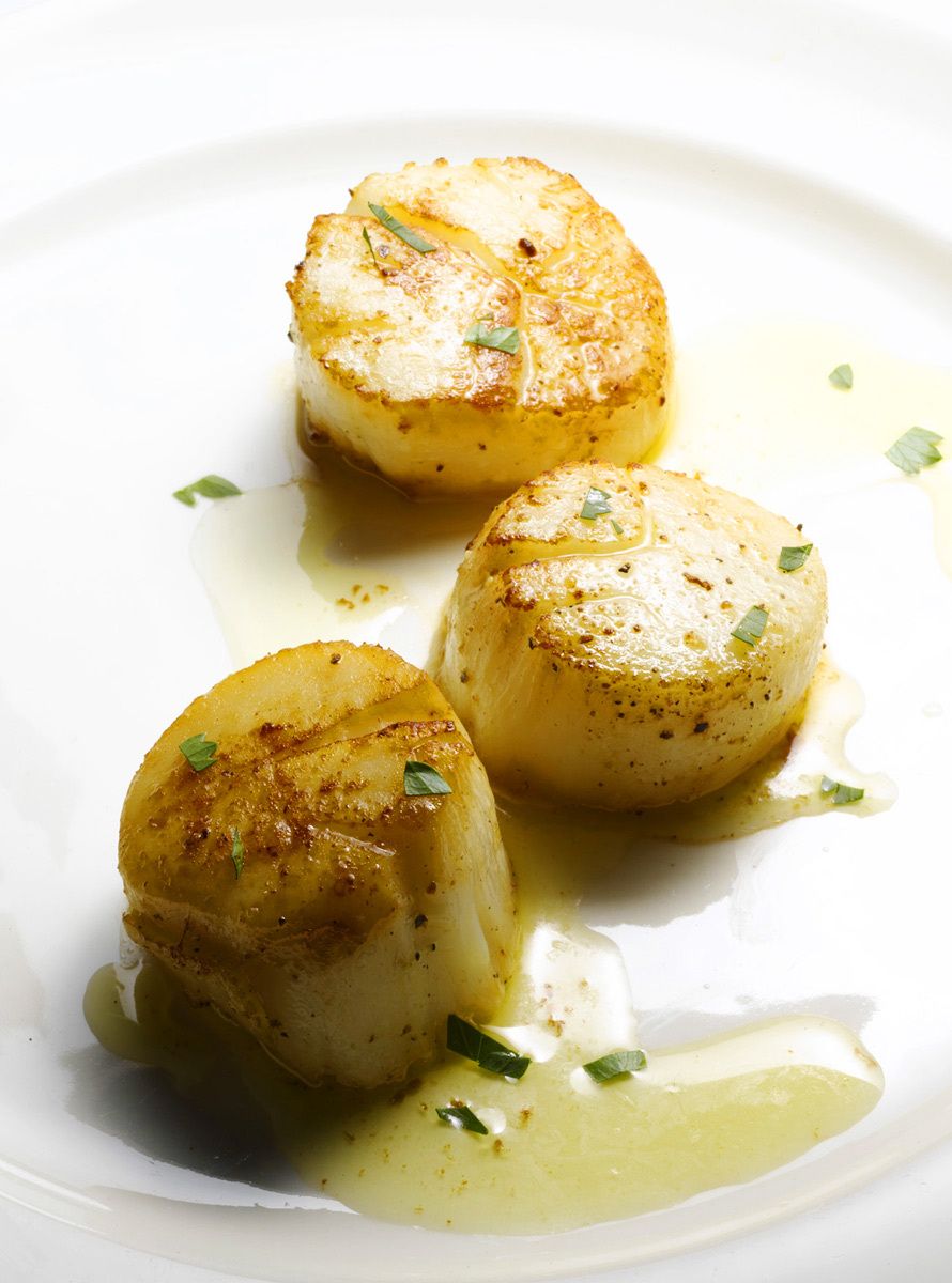 1scallops_7colorret.jpg