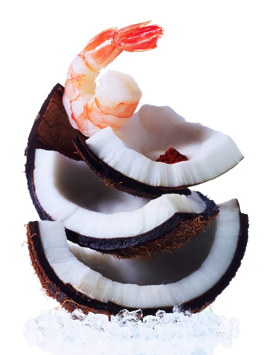 1coco_shrimp.jpg