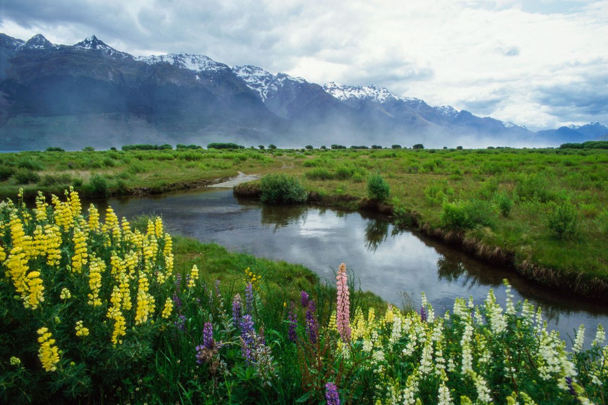 The Dart River Valley, New Zealand