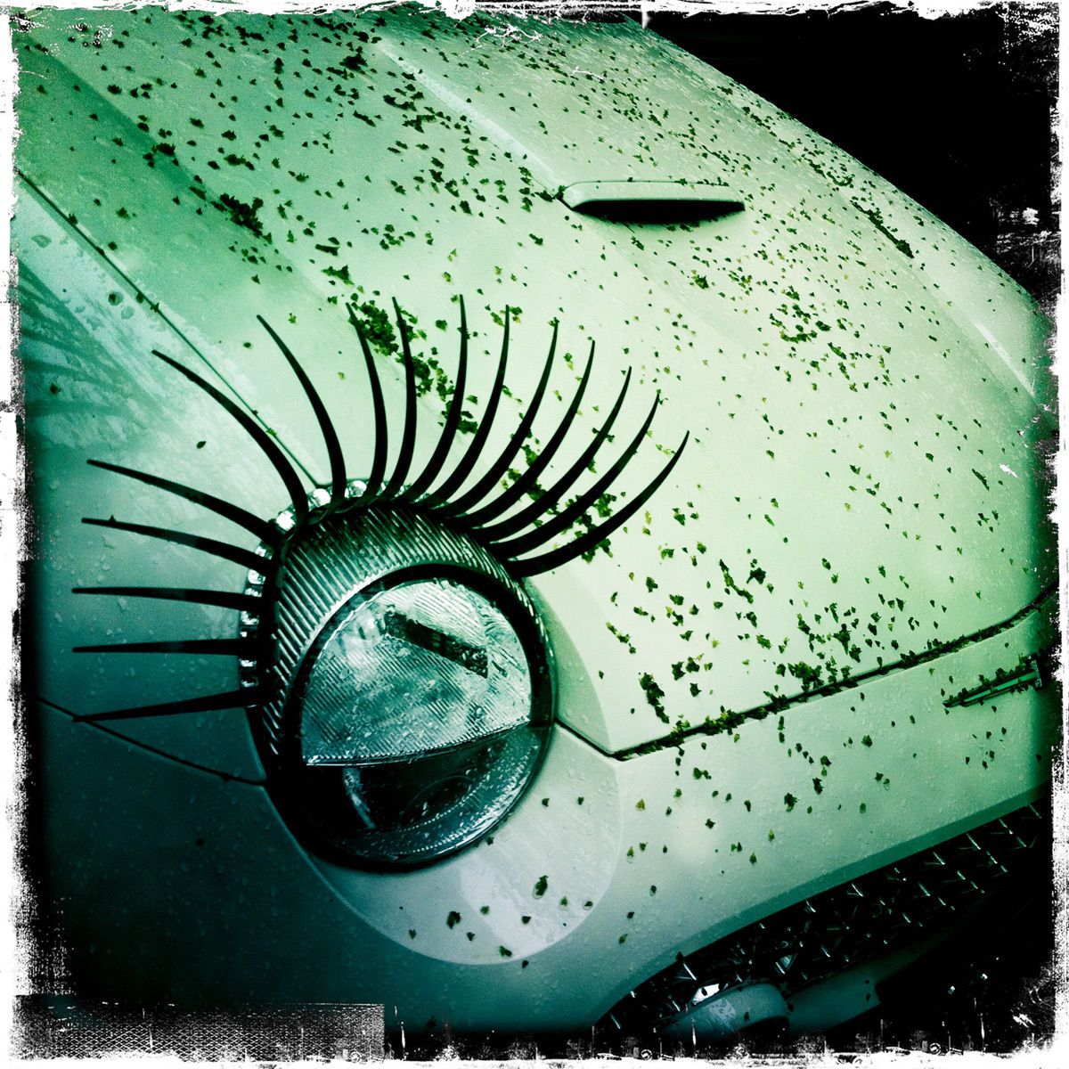 1eyelashes_on_car