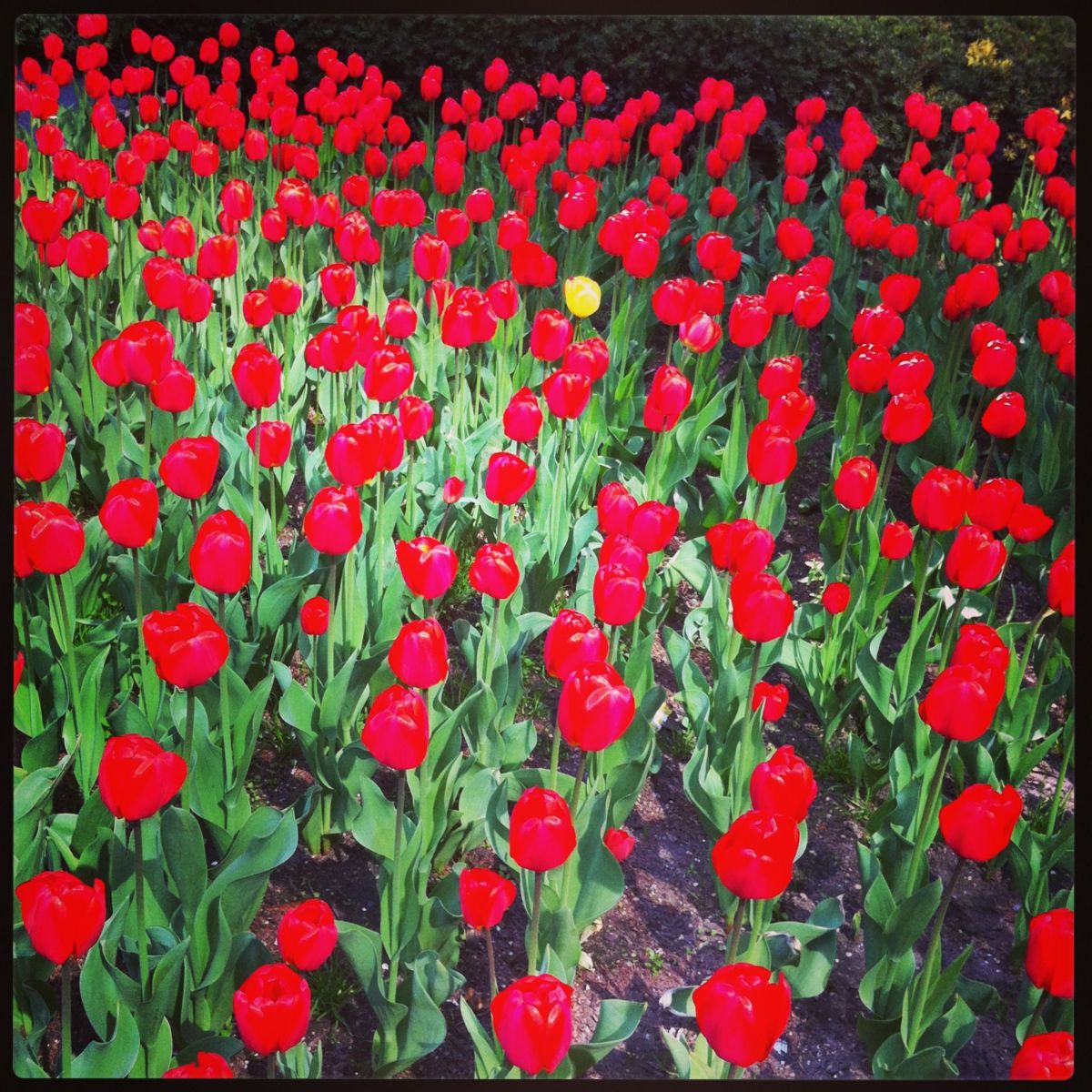 1simonrussellphotography_115