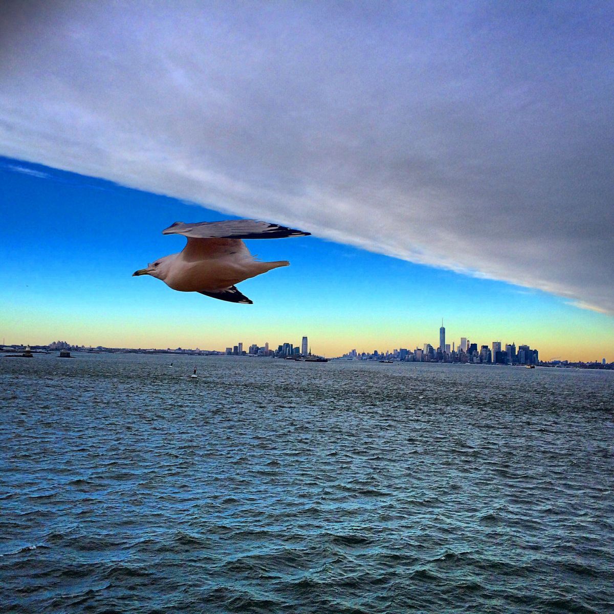 1simonrussellphotography_7