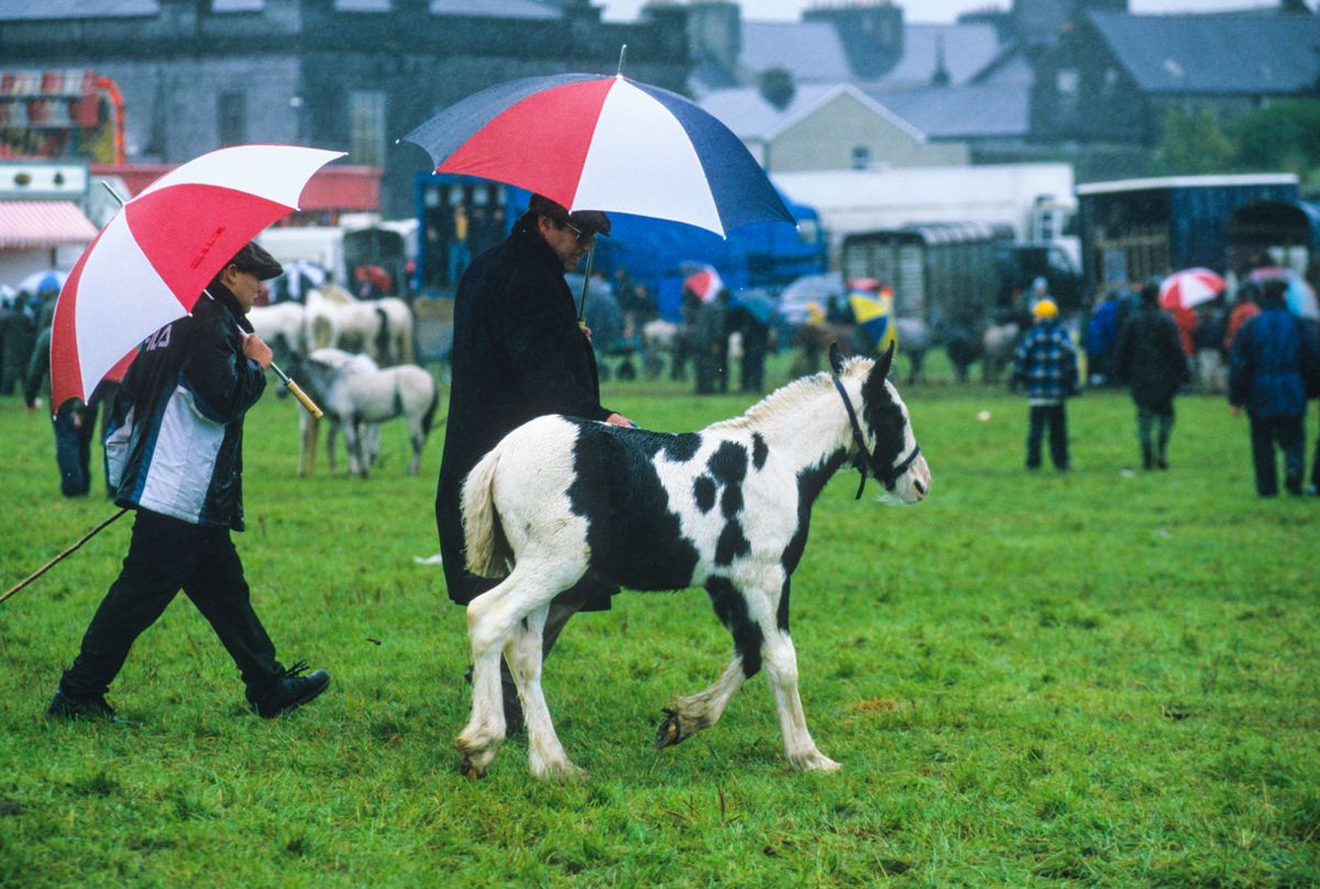 Ballinasloe Horse Fair, Ireland
