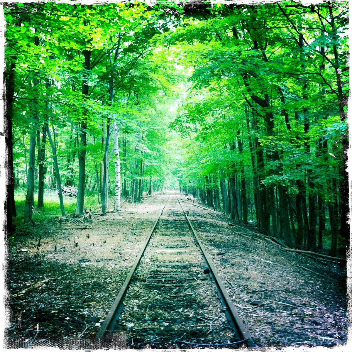 1catskill_train_tracks