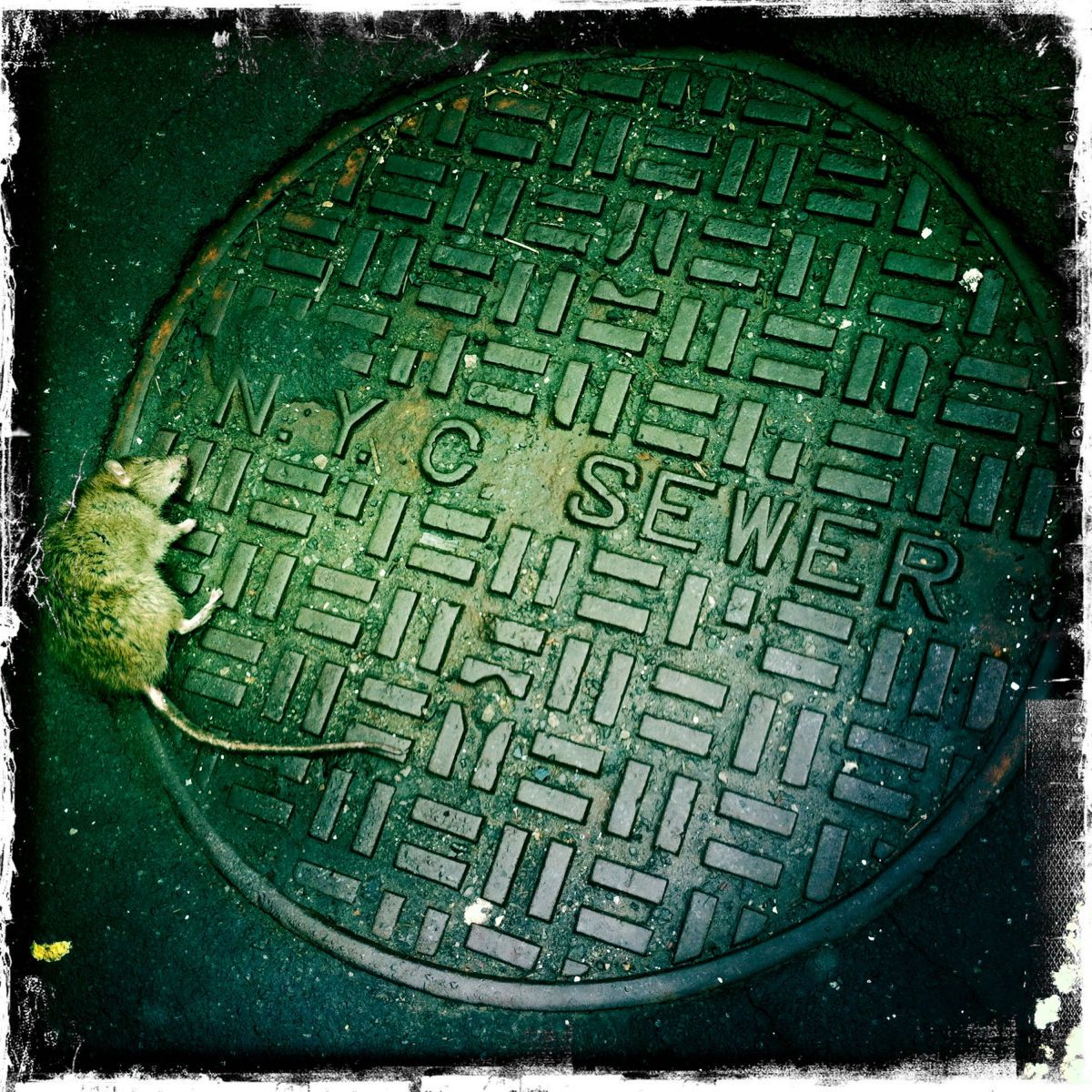 1simonrussellphotography_22_copy