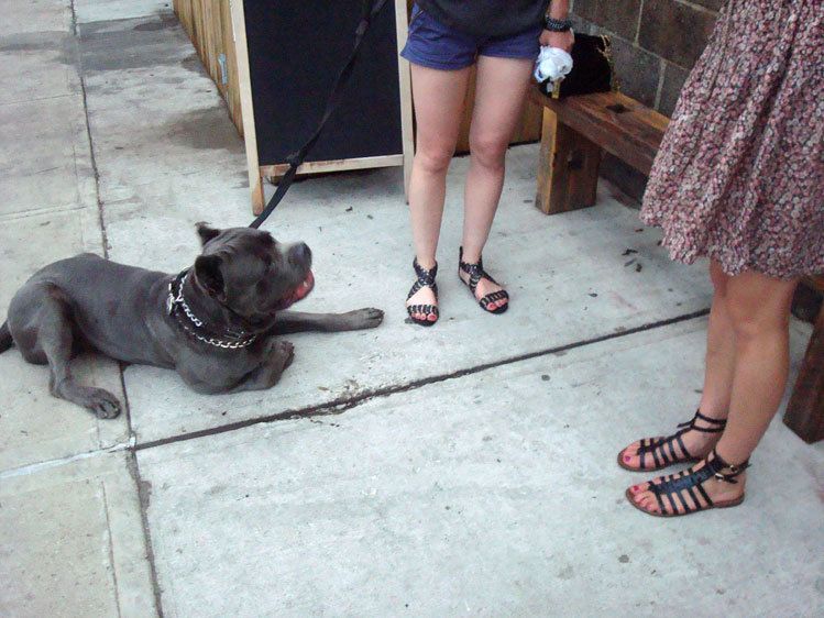 Summer sandals outside of Roberta's Pizzeria