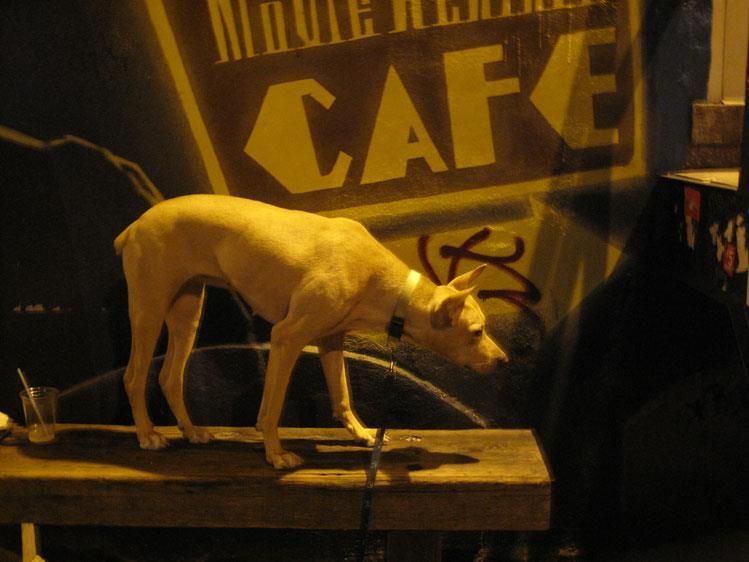 1r311958_10150331370200782_1846166624_n