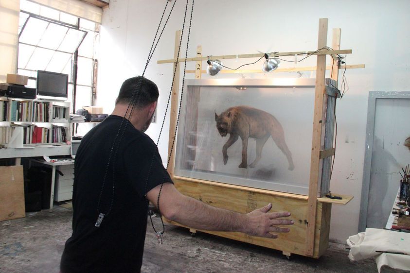 Juan Miguel Palacios at his studio.