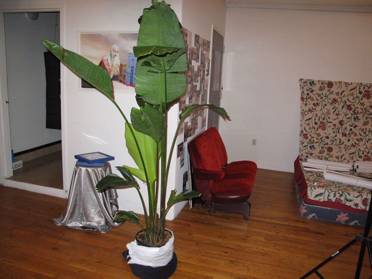 The Tiwimuta corner.