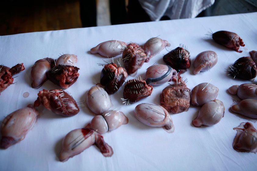 Close up on Joseph Shahadi's installation that deals with torture. 1_MG_9490